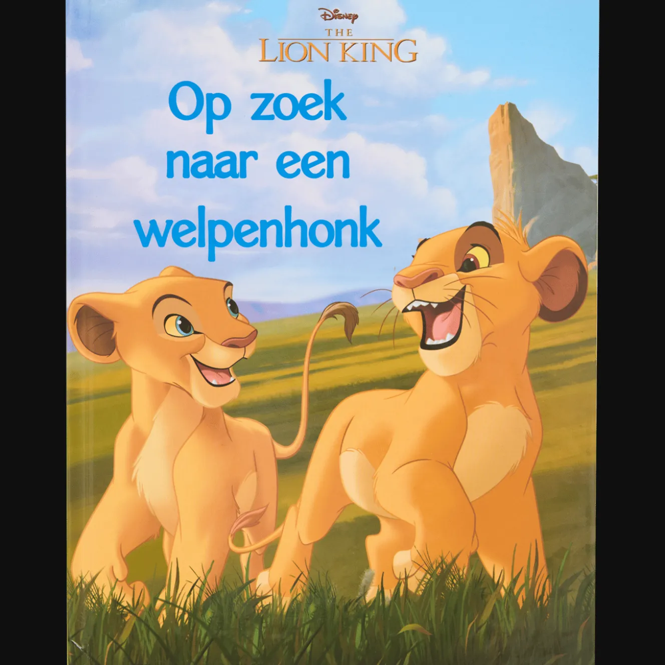 Disney voorleesboek