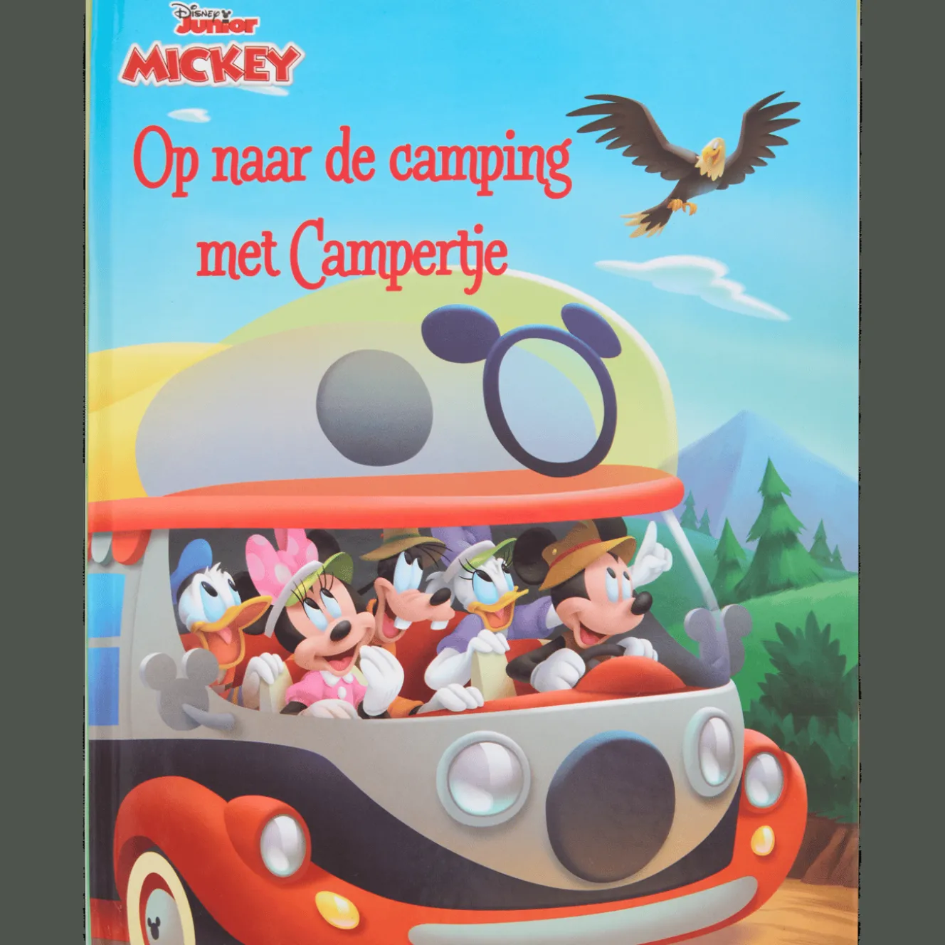 Disney voorleesboek