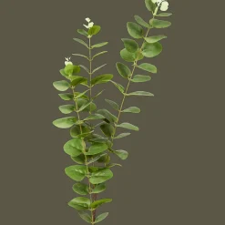Excellent Flowers kunst-eucalyptus op steel