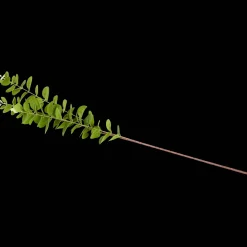 Excellent Flowers kunst-eucalyptus op steel