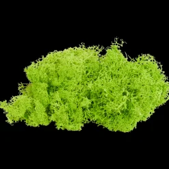 Home Accents decoratief mos