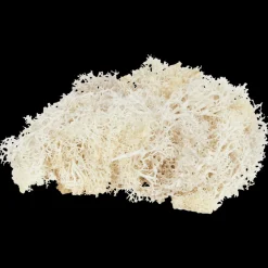 Home Accents decoratief mos