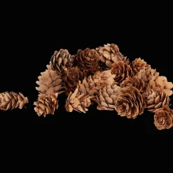 Home Accents decoratiemateriaal