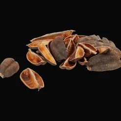 Home Accents decoratiemateriaal