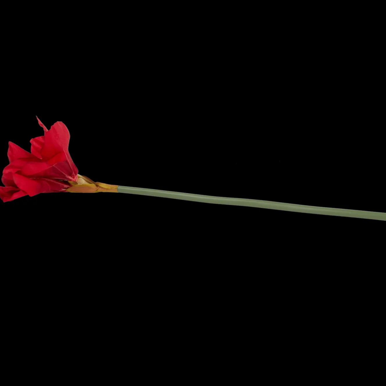 Kunstamaryllis op steel