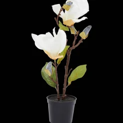 Kunstmagnolia in pot