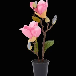 Kunstmagnolia in pot