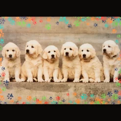 Teken- en knutselplacemat