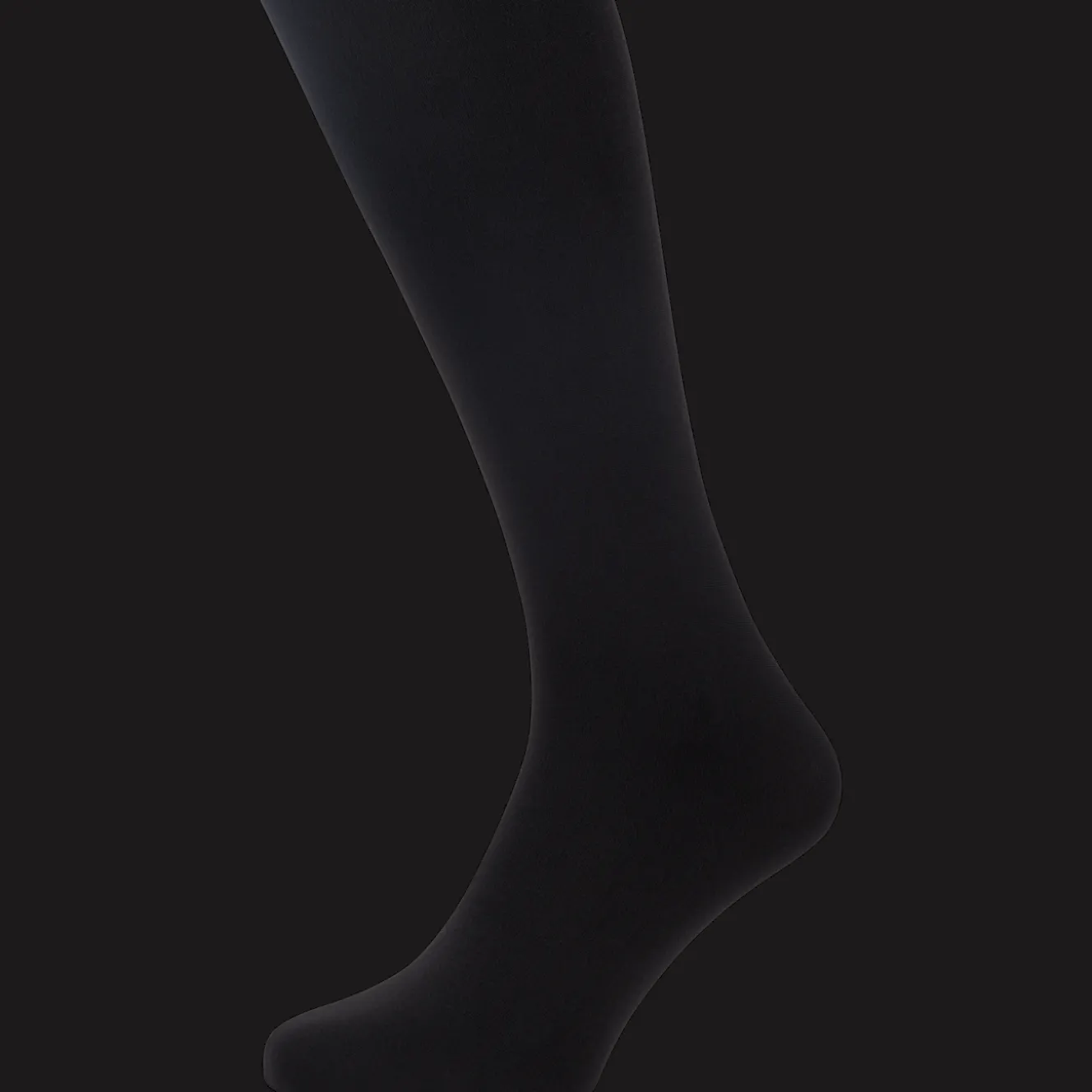 Thermopanty 100 denier