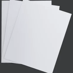 Van Bleiswijck schilderspanelen