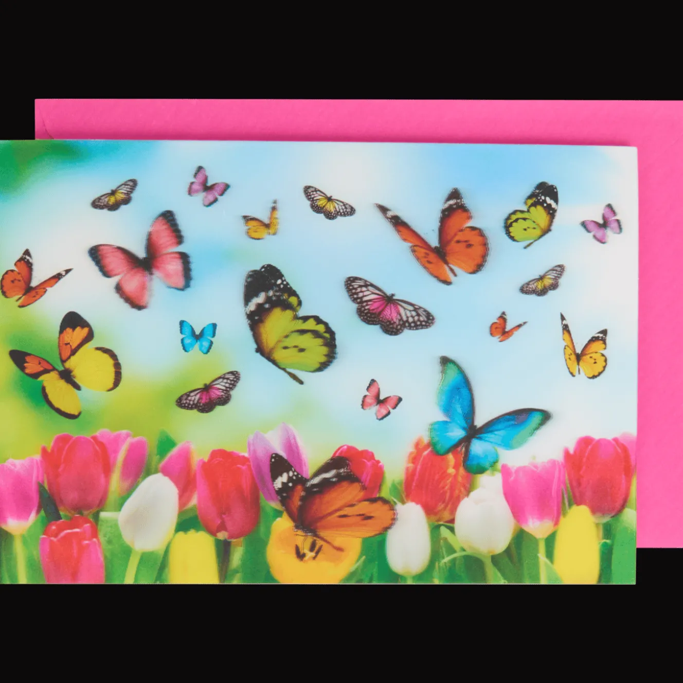 Wenskaart lenticulair met dieren